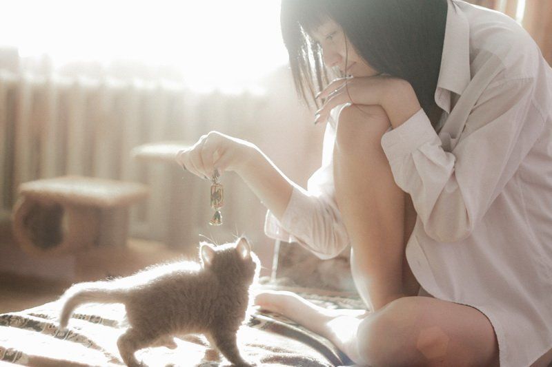 Кошки и грильяж.photo preview