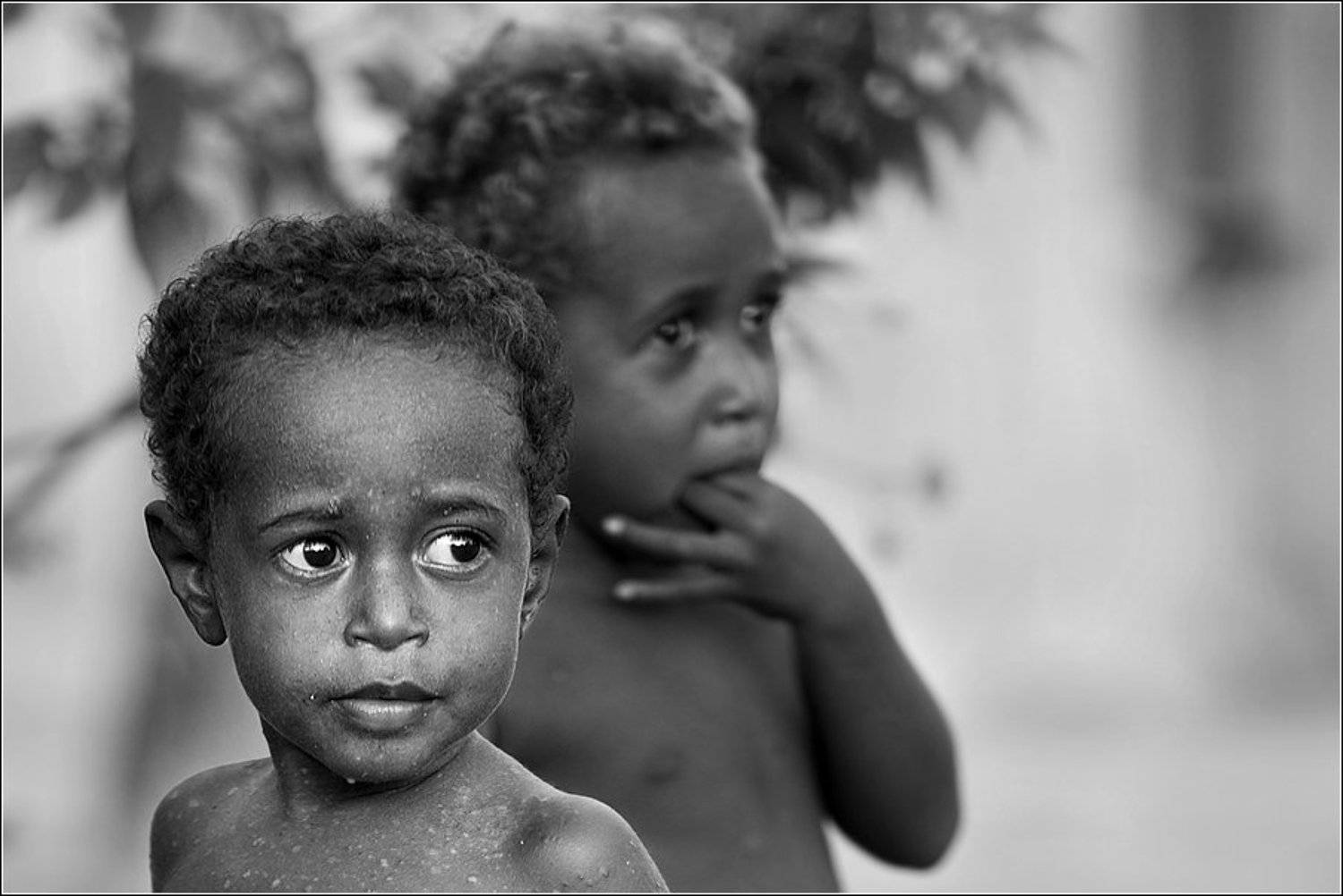 , Владимир Жданов