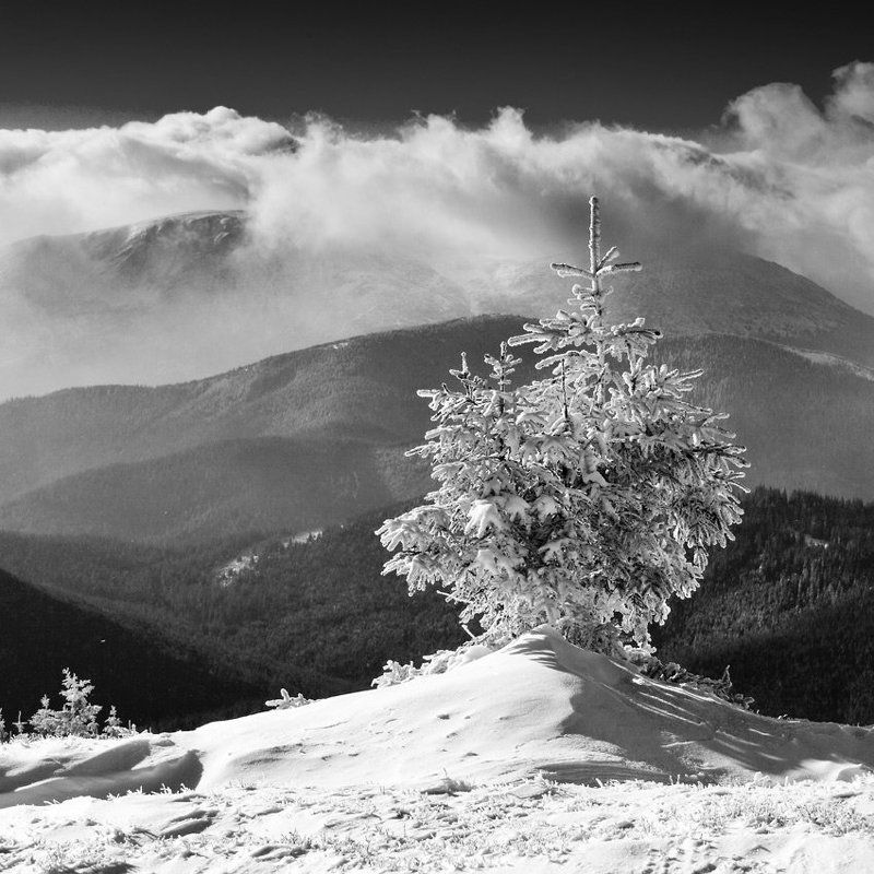 музыка горphoto preview