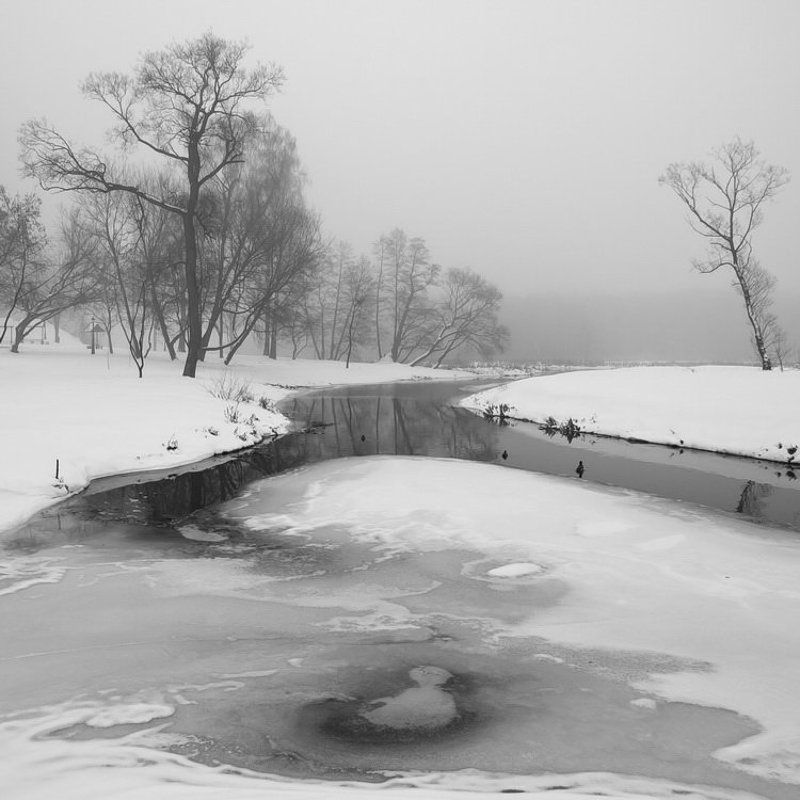 парк,декабрь,минск,лошица,зима,река,свислоч, декабрьphoto preview