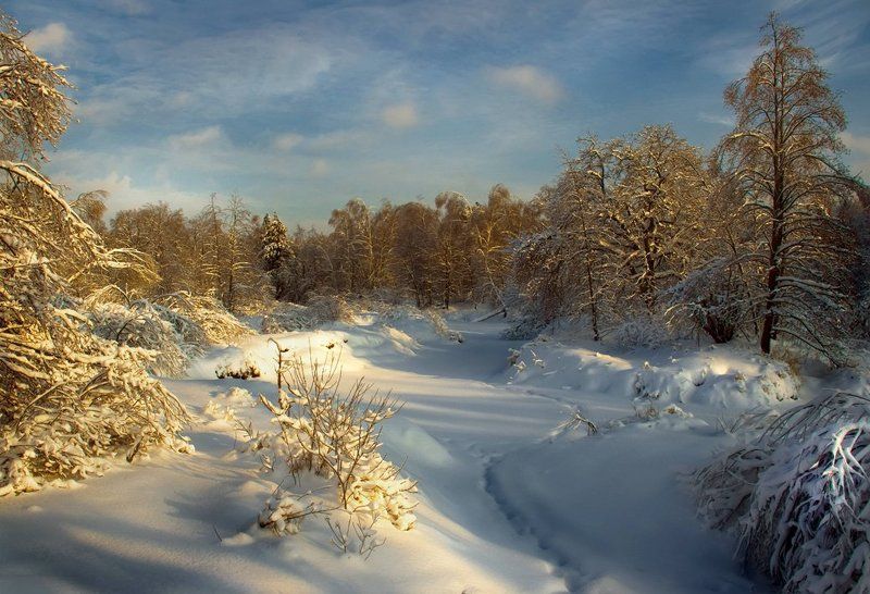 Зимняя тропкаphoto preview