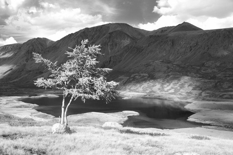 . фото превью