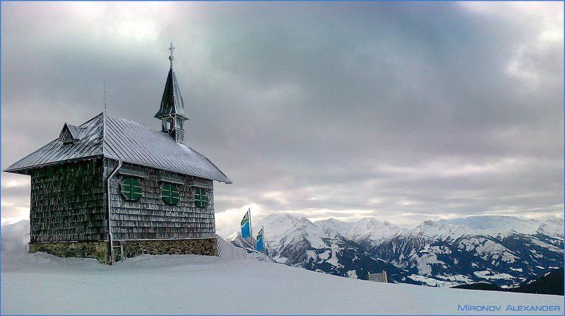 No Kangaroos in Austriaphoto preview