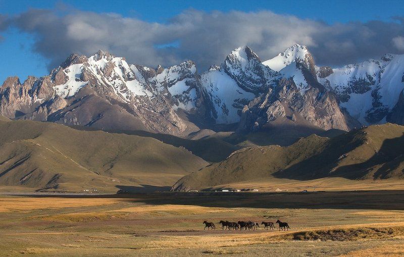 фотосафари, центральная азия на закатеphoto preview