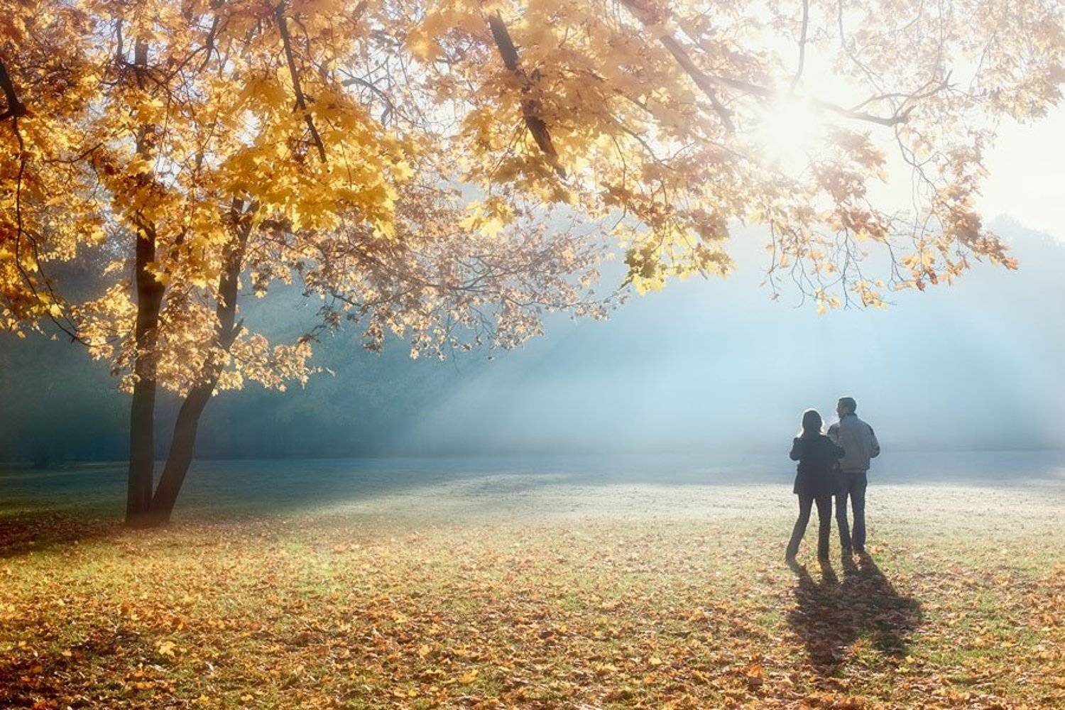 На ковре из жёлтых листьев. Автор: Ludmila Yilmaz пейзаж, осень, Ludmila Yilmaz