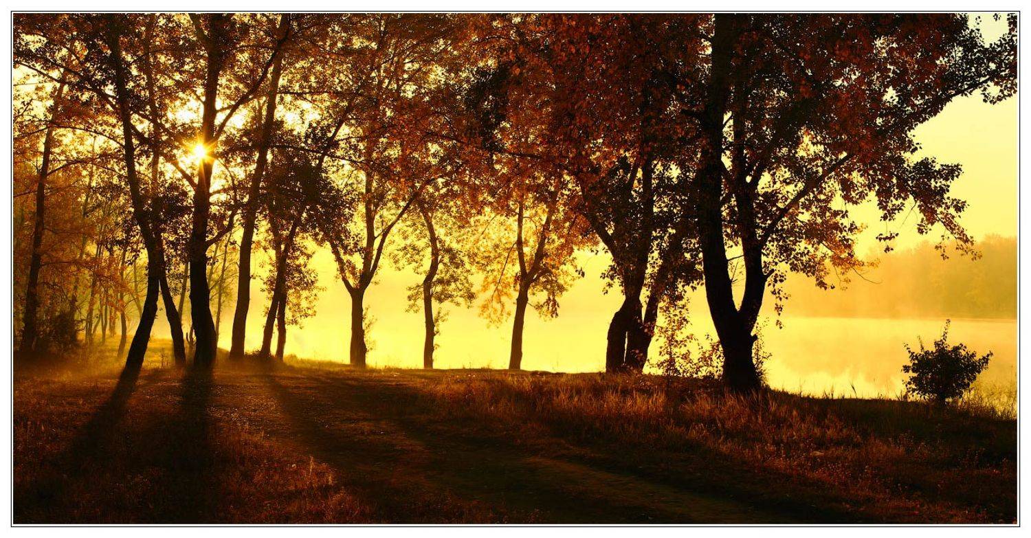 "ЗОЛОТО" СИБИРИ. Автор: Олег Клочков хакасия,абакан, Олег Клочков