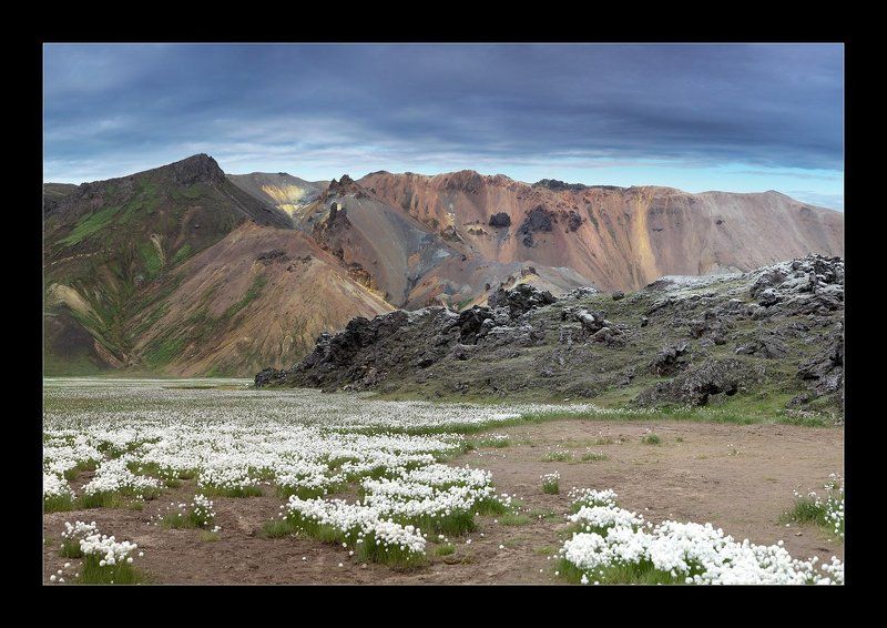ПУШИЦА... по-исландски...photo preview
