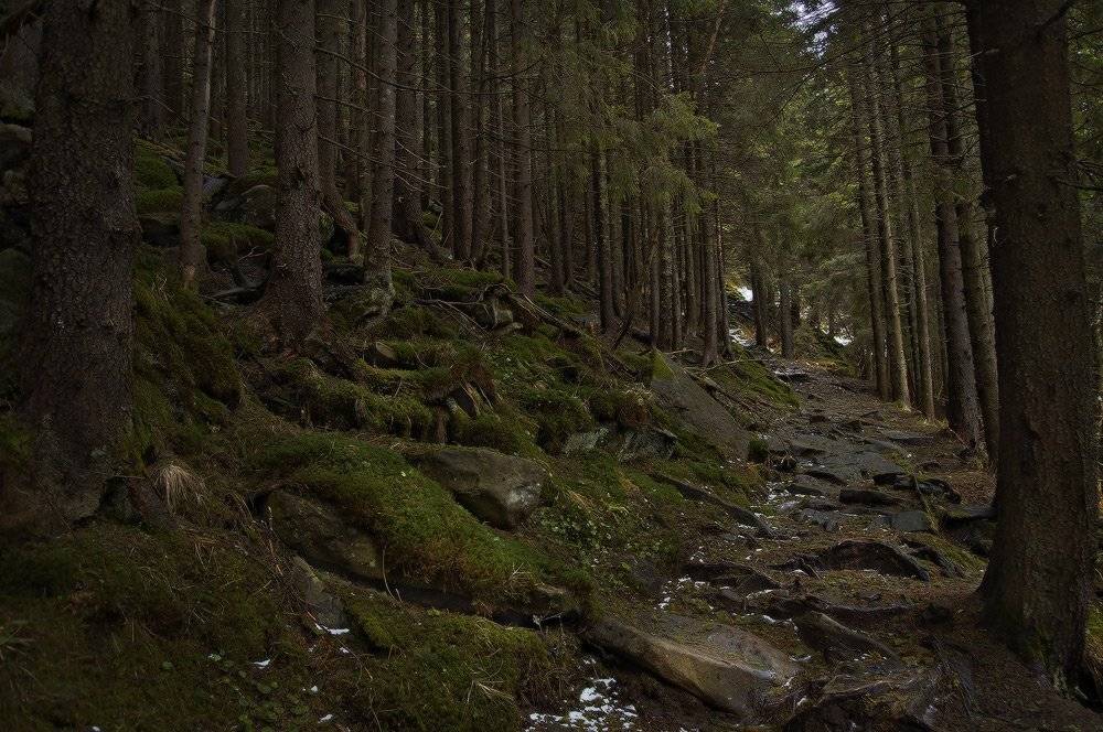 , Михаил Мочалов