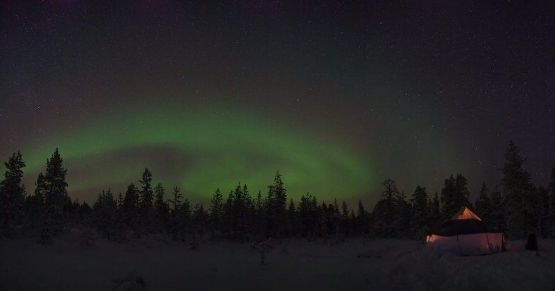 ёлки-тундры, поход , нг 2011 Дорогами севераphoto preview