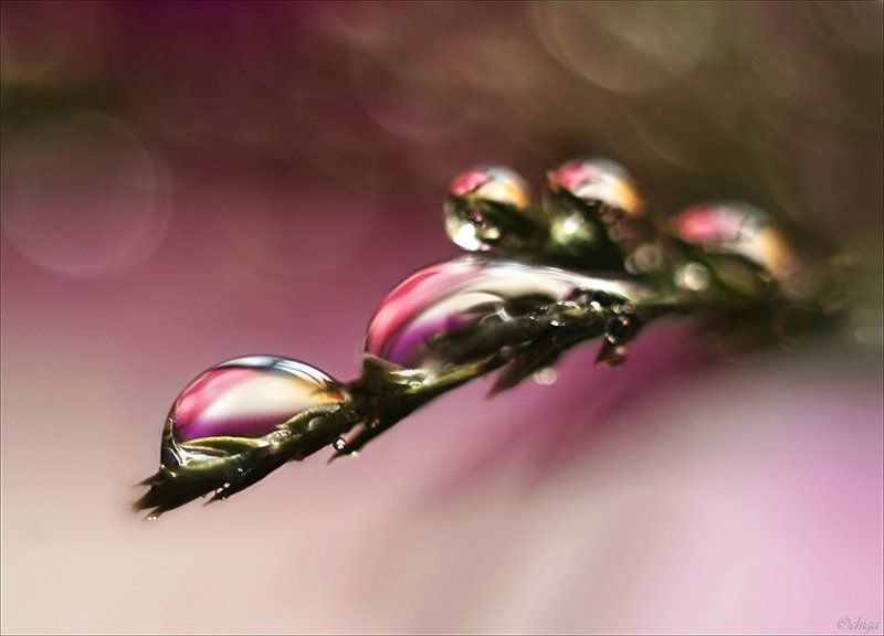 вода, капли ***photo preview