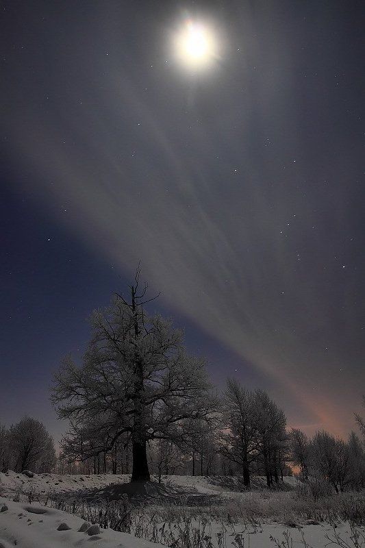 Лунная вуальphoto preview