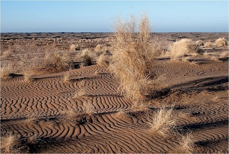 природа В ожидании...photo preview