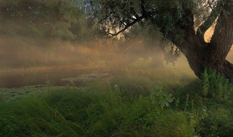 canon 40d, ef-s 17-85 mm f 4-5.6 is usm *** фото превью