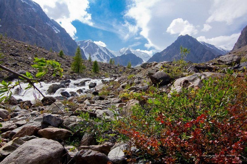 ущелье актру,горный алтай,горы В ущелье Актру.**photo preview