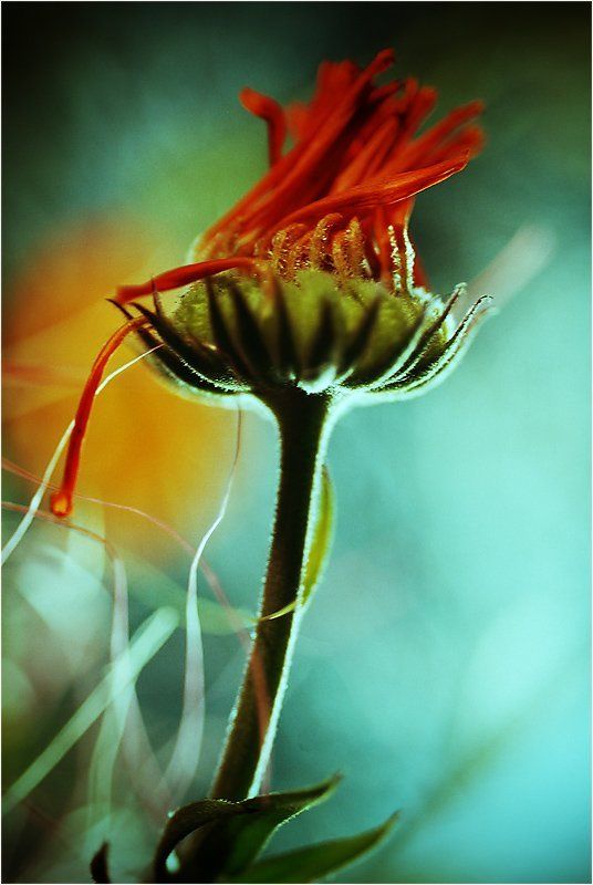 Мир прекрасенphoto preview