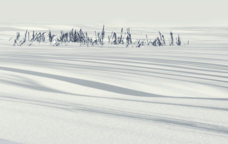 зима Зимняя, медитативнаяphoto preview