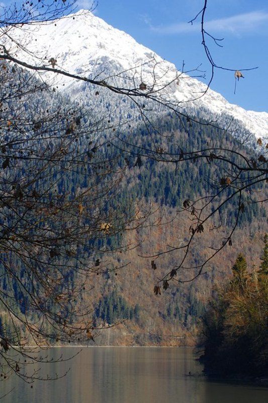 о. Рицаphoto preview