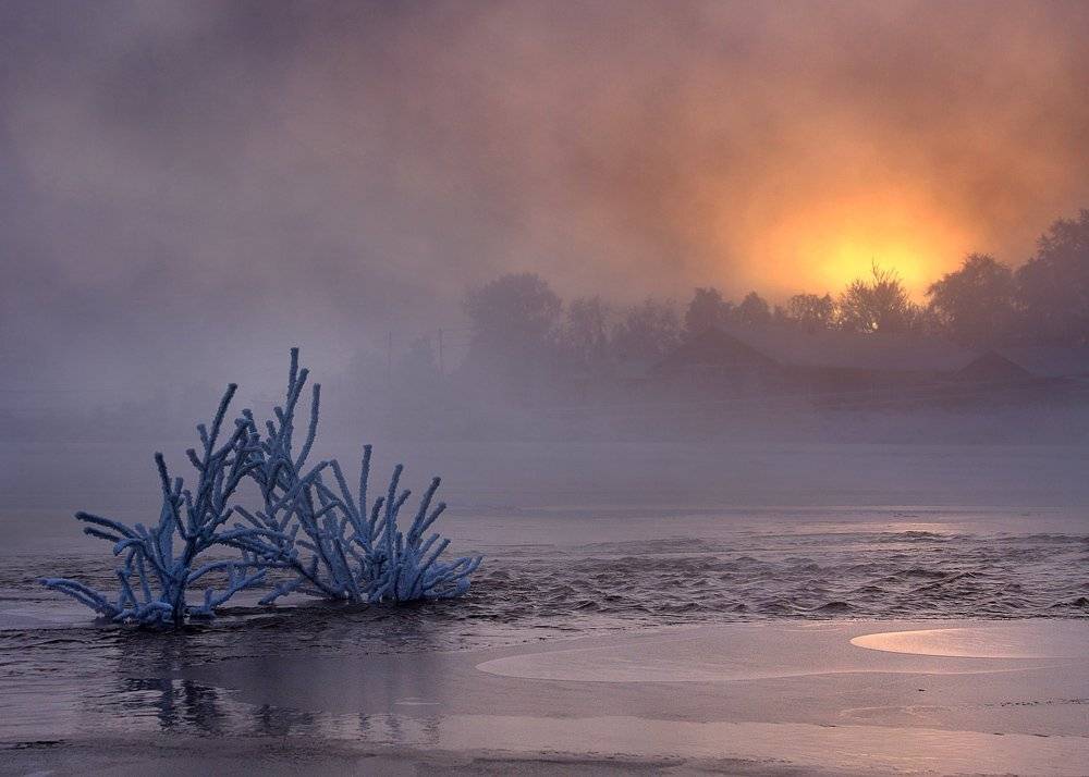 , Александр Коротков