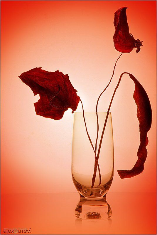 натюрморт,стекло Этюд для Иринушкиphoto preview