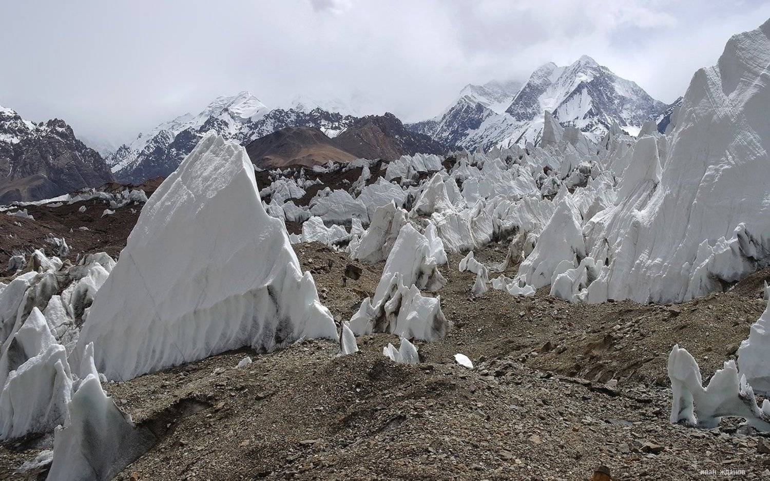 горы, каракорум, китай, ледник, гашербрум, туризм, альпинизм, Иван Жданов