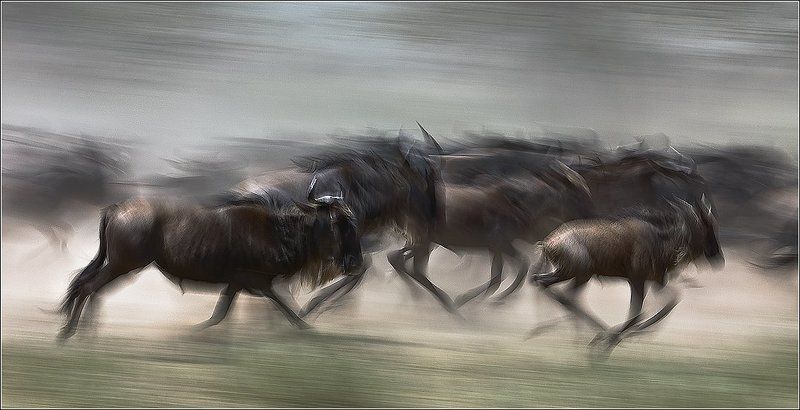 Этюд № 23photo preview