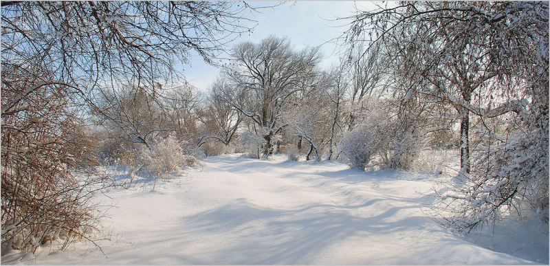 природа Если б не было тебя...photo preview