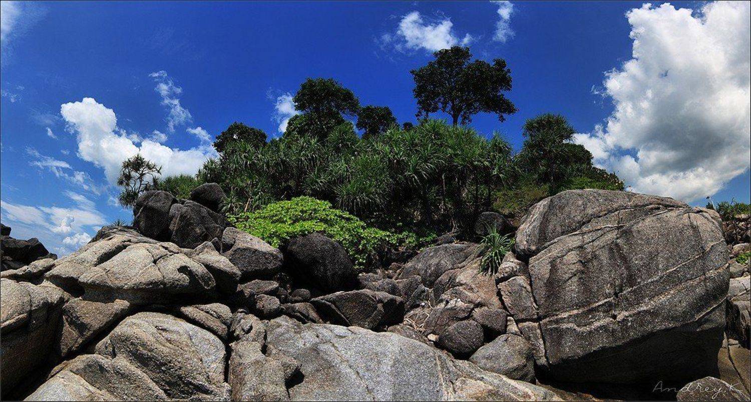 , Андрей Райский