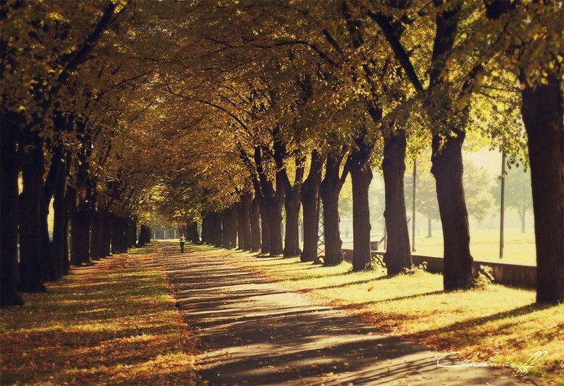 Indian summerphoto preview