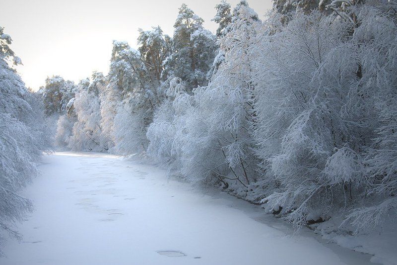 Над реекойphoto preview