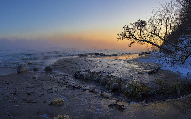заостровье, балтийское море, море, ручей, декабрь, рассвет Ручей и море.photo preview