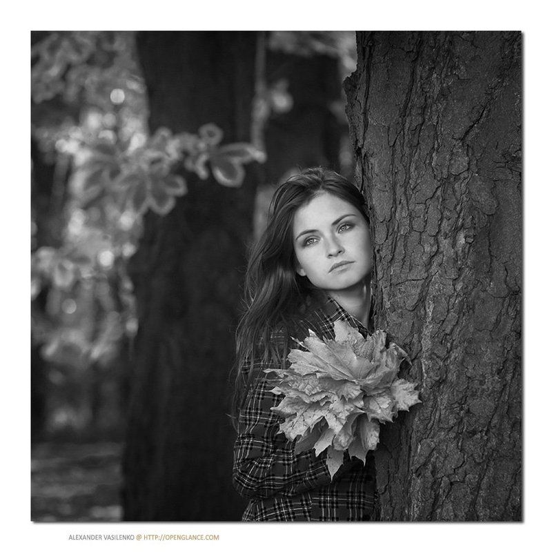 About autumn...photo preview