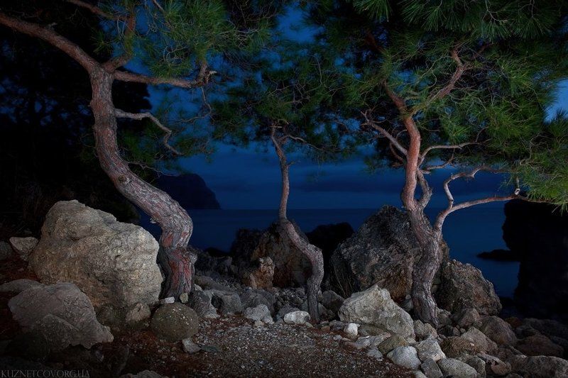 Ночь в Балаклавеphoto preview