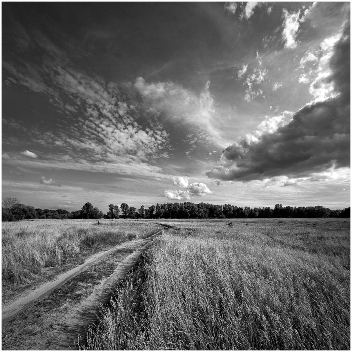 , Алексей Соловей