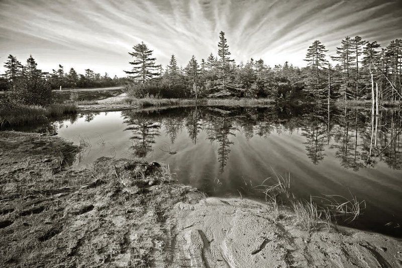 Порталphoto preview