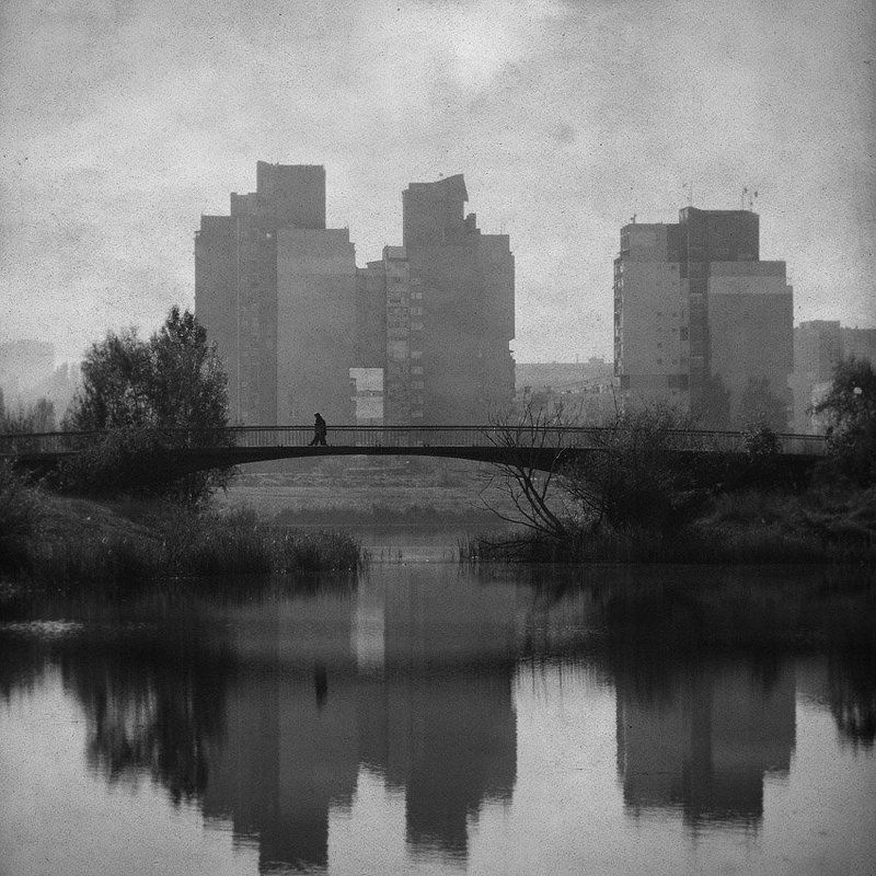 day after dayphoto preview