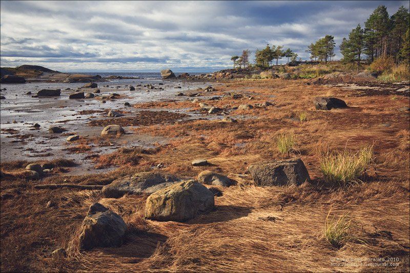 осень,белое море,сентябрь,умба Беломорье.photo preview
