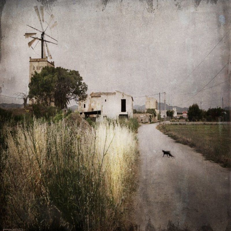 alone La Marca -10photo preview