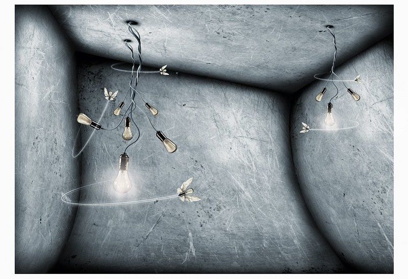 Акупанты!photo preview