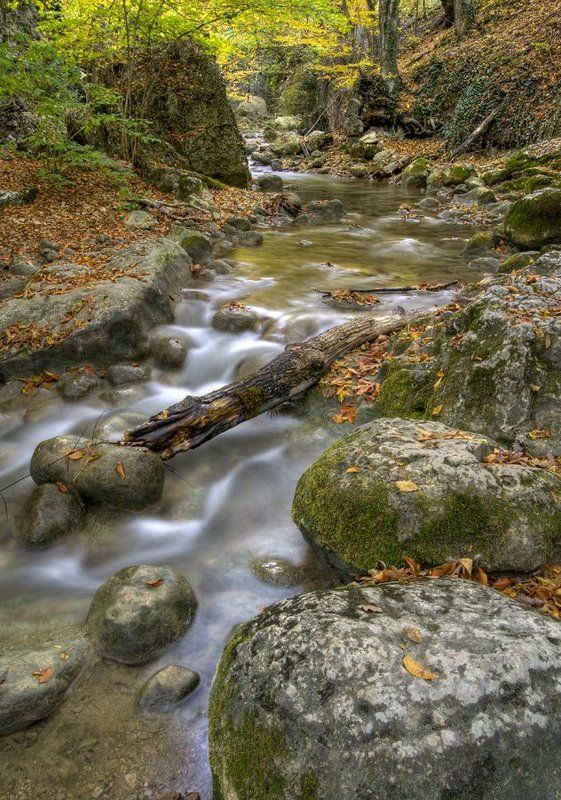 Осенняя рекаphoto preview