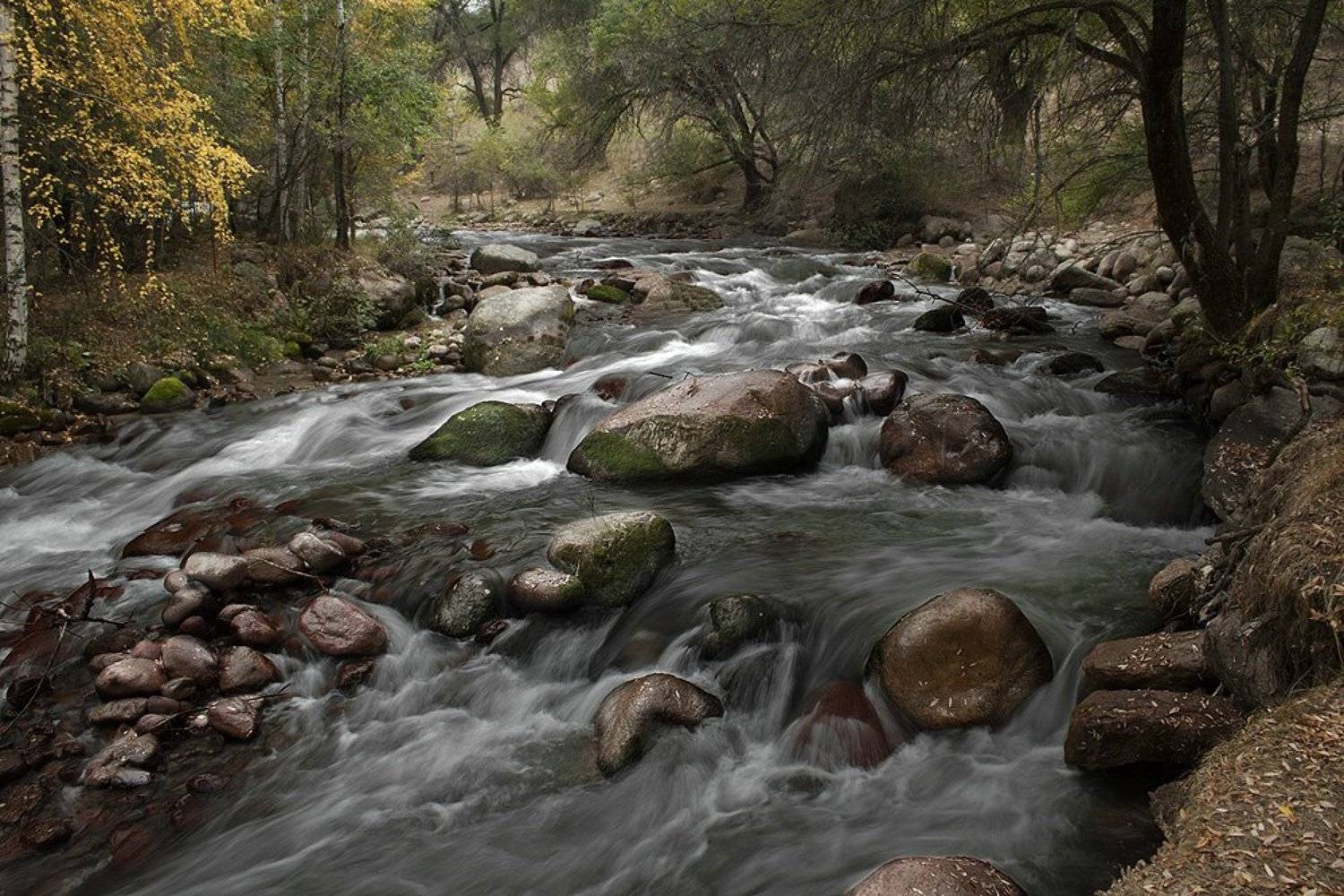 Вечное движение.. Автор: Silfida река, лес, камни, Silfida
