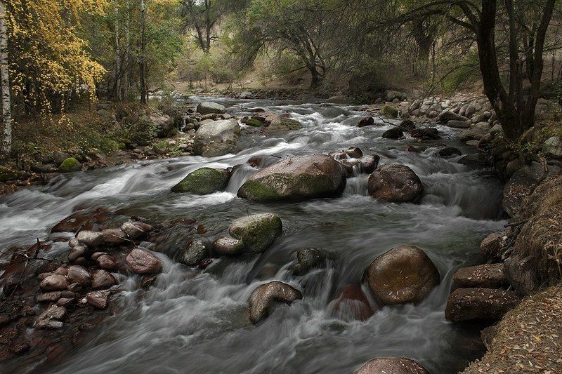 река, лес, камни Вечное движение.photo preview