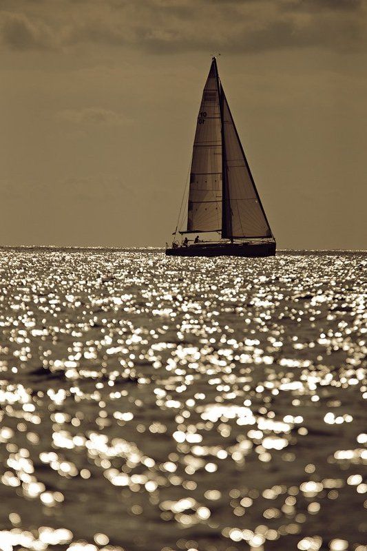 море photo preview