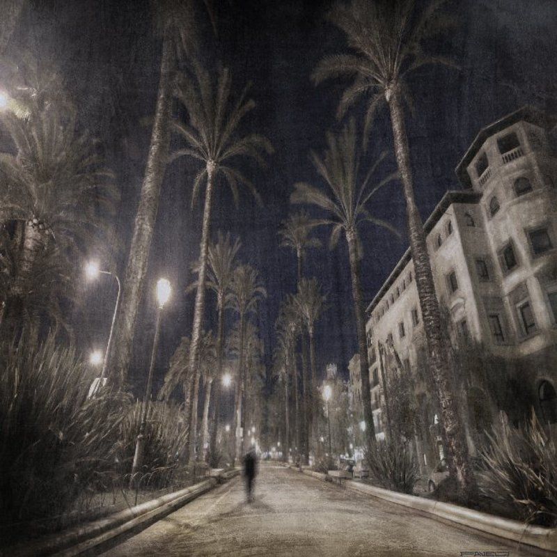 alone .photo preview