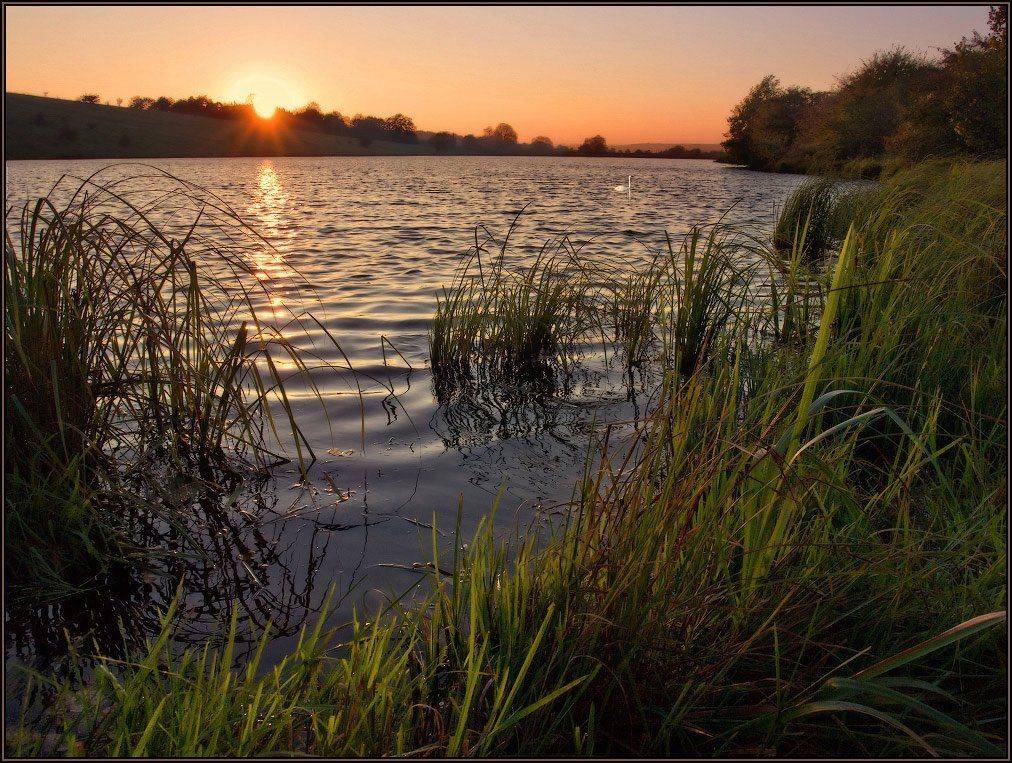 Встречая новый день. Автор: Владимир утро, рассвет, озеро, солнце, свет, лебедь, Владимир