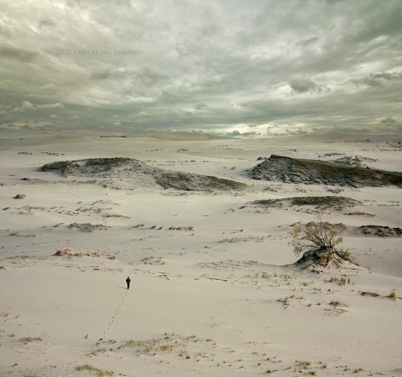 The Waste Landsphoto preview