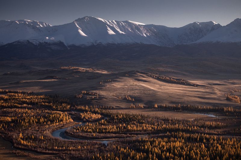 горный алтай, чуя, курай, северо-чуйский хребет, горы, лиственницы, осень, октябрь Курайский вечерок фото превью