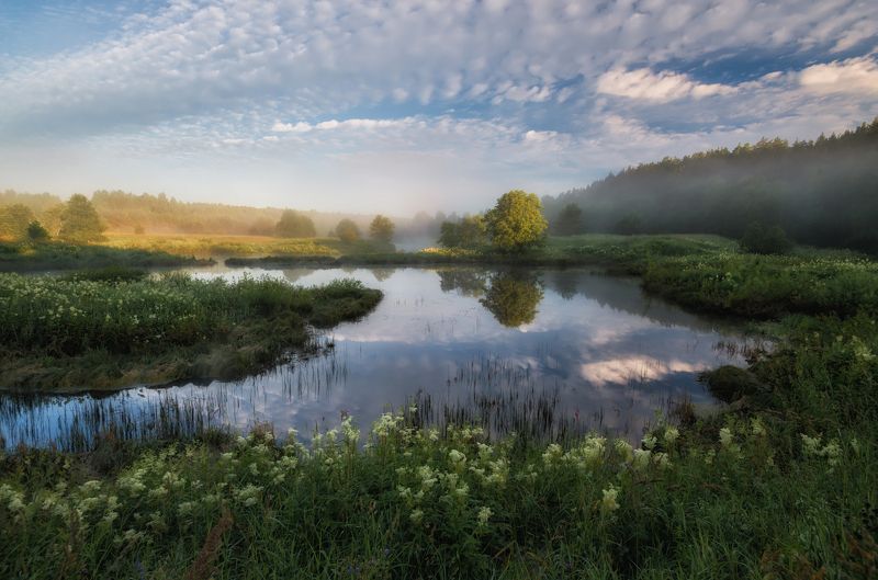 ярославская область, нерль Летом на Нерли...photo preview