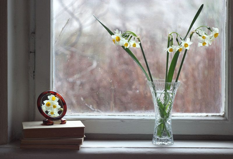 Январь нарциссы Январь в Ялтеphoto preview