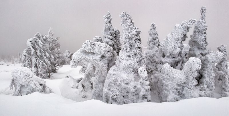 зима, снег, деревья, фактура, горы, урал, мороз, путешествия, снежные фигуры, антон селезнев Елкиphoto preview