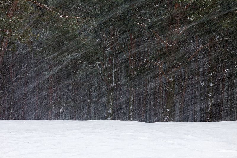 МЕТЕЛЬphoto preview